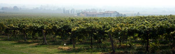 wine tasting tours